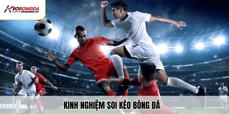 Những Kinh Nghiệm Soi Kèo Bóng Đá Chính Xác Từ Các Cao Thủ