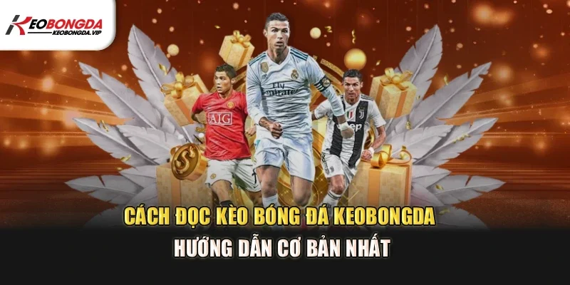 Cách Đọc Kèo Bóng Đá – Kèo Bóng Đá Hướng Dẫn Cơ Bản Nhất