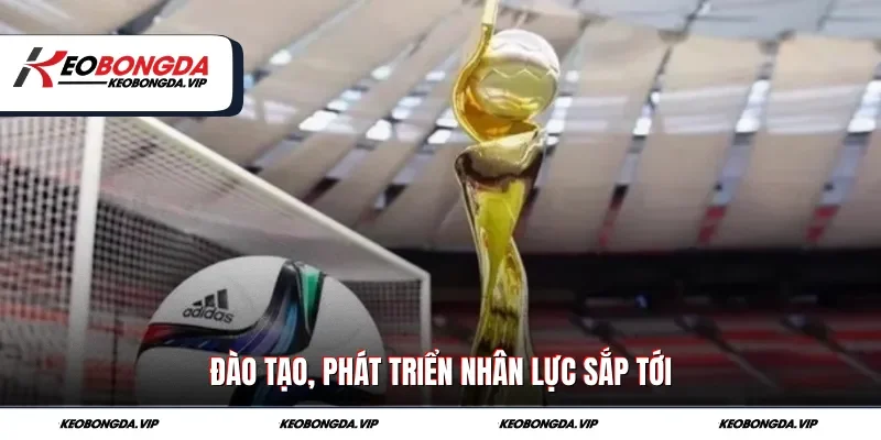 Đào tạo, phát triển nhân lực sắp tới