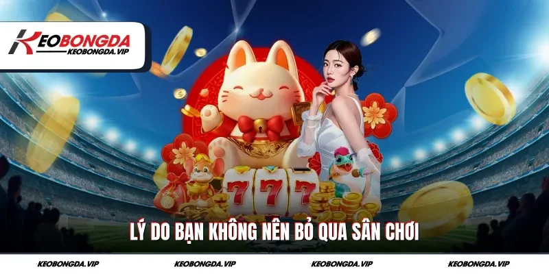 Lý do bạn không nên bỏ qua sân chơi